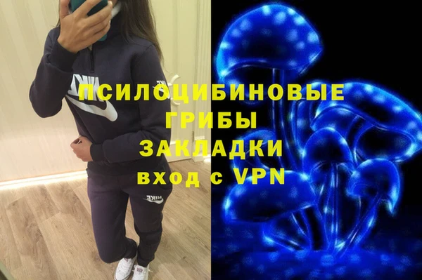 MESCALINE Аркадак